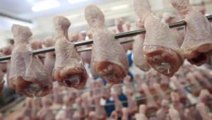 "Челны-Бройлер" начнет поставки халяльной продукции из мяса птицы в Бахрейн