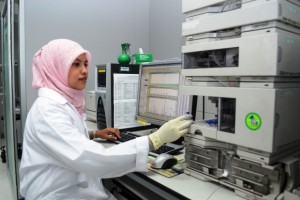 Сфера халяль-медицины привлечет в Татарстан инвестиции почти в 100 млн долларов