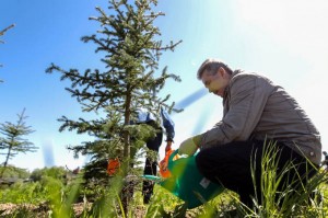 В Набережных Челнах прошел "День посадки леса"