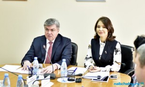 Резиденты ТОСЭР высказали  свои предложения депутату Государственной Думы Альфие Когогиной